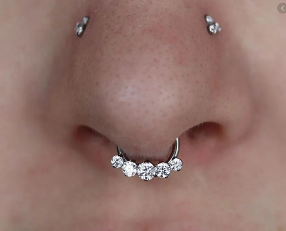 ASTM F136 Titanium Full Front Gemmed Septum Clicker Daith Conch Hinged Segment Ring Nose Jewelry Piercing Earrings Body Jewelry