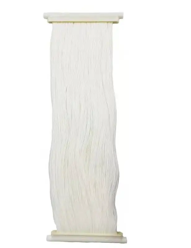 Hollow Fiber Submerged MBR Membrane for Effluent Treatment System Replace Second Sedimentation Tank