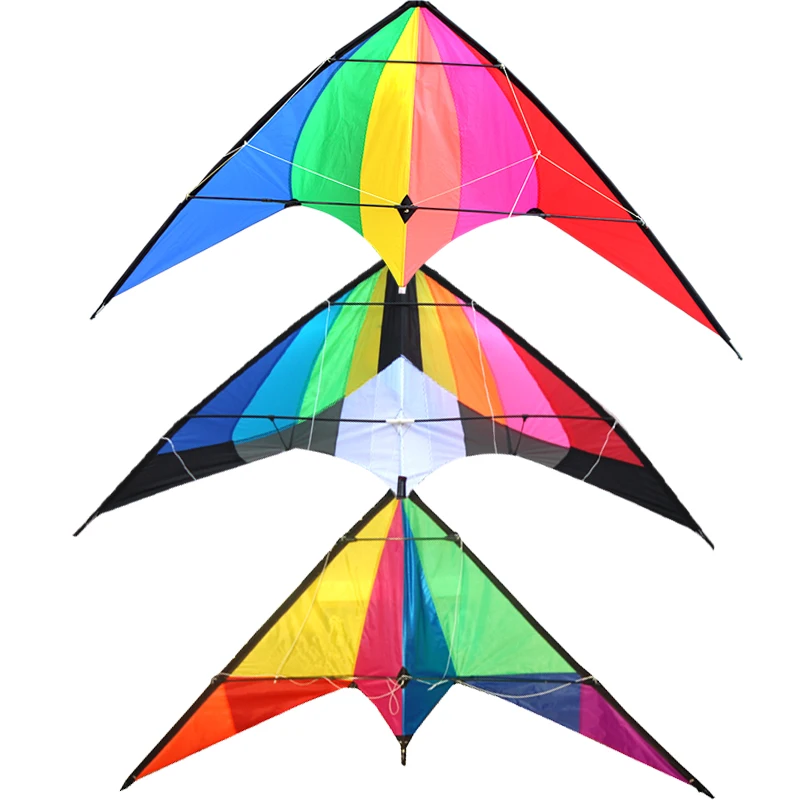 
Yongjian 2020 Dual Line Easy flying Custom Printed outdoor playing training leaf kite albatross stunt kite From Weifang 