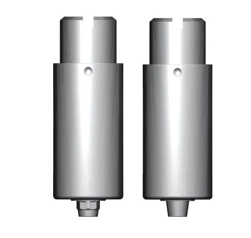 Wholesale Dental Tibase Abutment Straight Profile Abutment Manufacturer