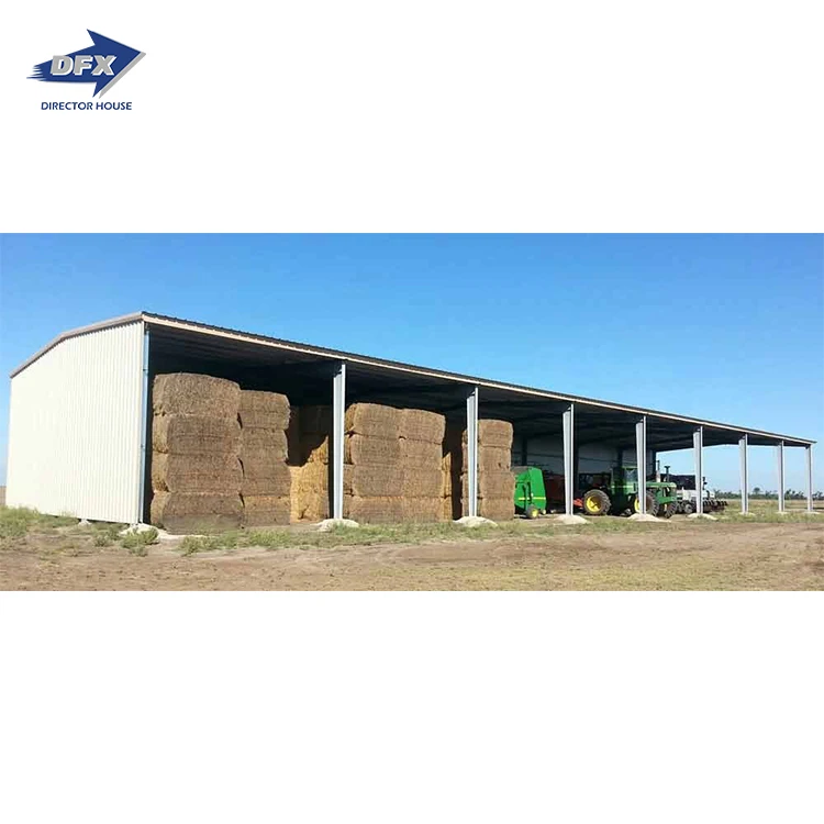 Steel Frame Truss Roof Warehouse Shed Steel Structure Storage Building Construction