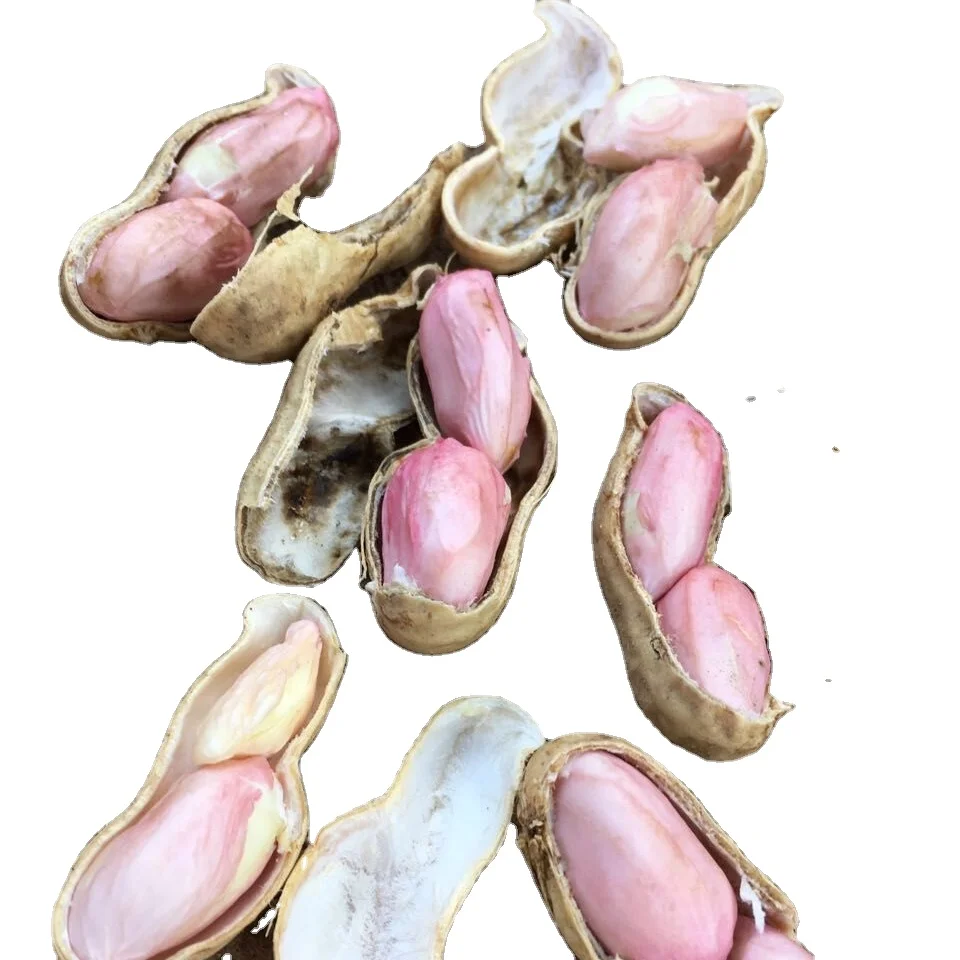 
 Арахис без покрытия, поставщики арахиса, арахис без покрытия, орех Мани, красная кожа, арахис  