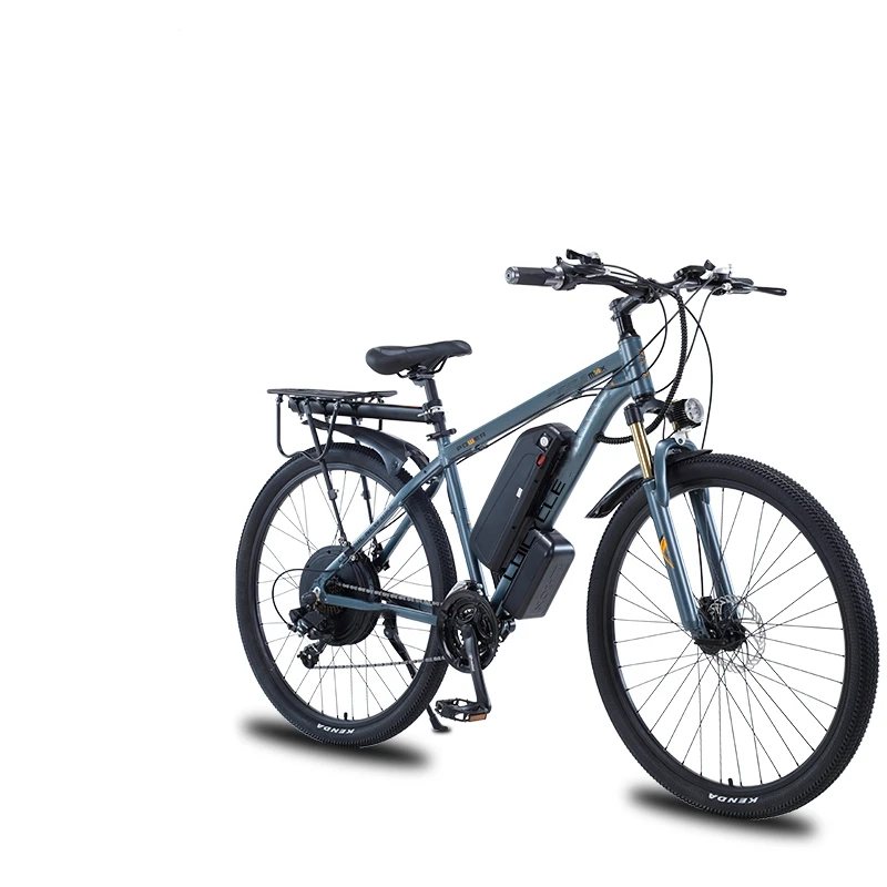 Wholesale 29 Inch Electric bike 1000W 13AH Motor Mountain Bike