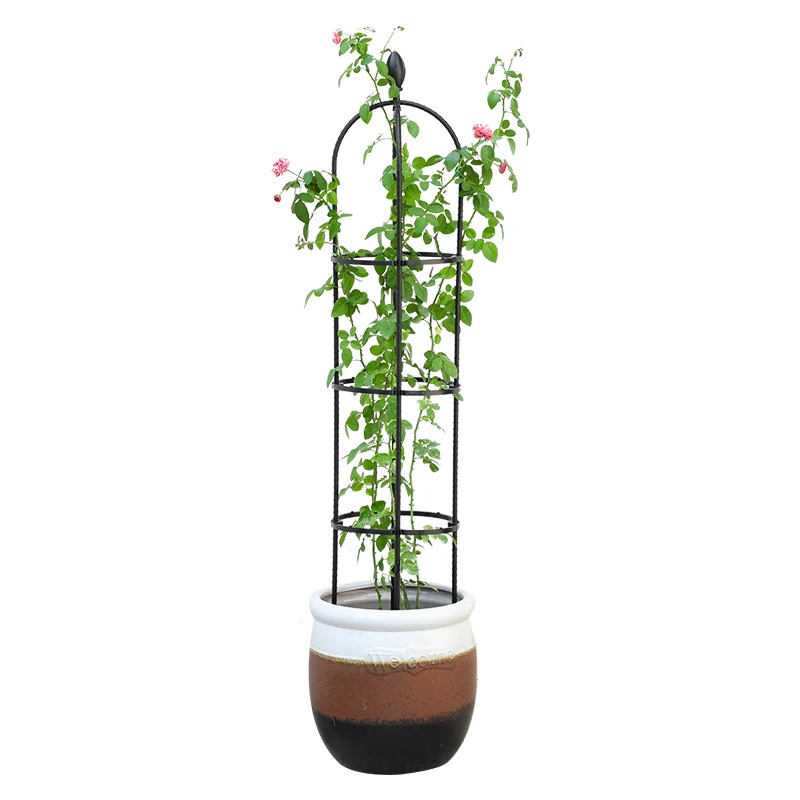 Wholesale hot sale Waterproof Plastic coated Decorative Small Potted Garden Trellis plant support stick for climbing plants