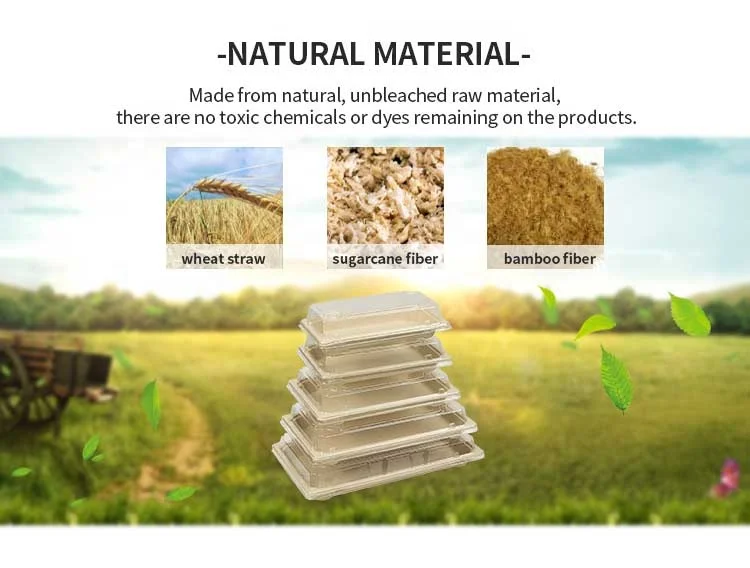 Eco Friendly Disposable Biodegradable Bamboo Pulp Take Away Plates For Food