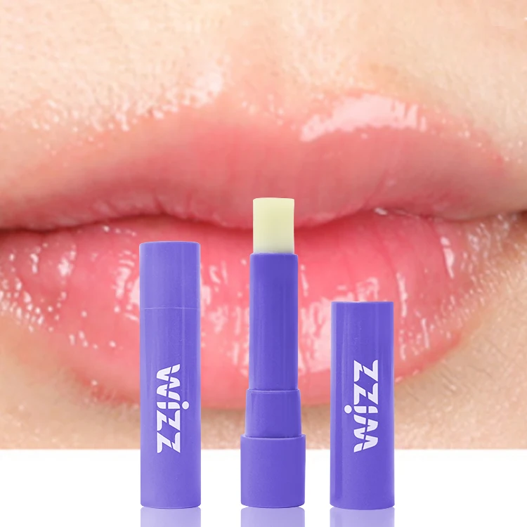 Private Label Exfoliating Moisturizing Lip Care Balm For Dark Lips Custom Vegan Organic Blueberry Flavor Repair Lip Balm