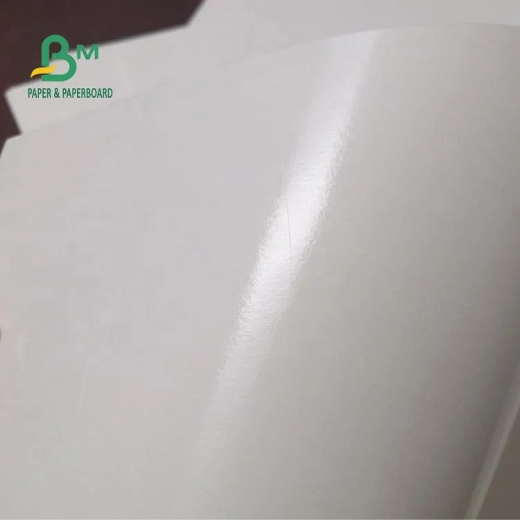 190gsm 210gsm Single PE Coated Cup Paper For Noodles Box Recyclable