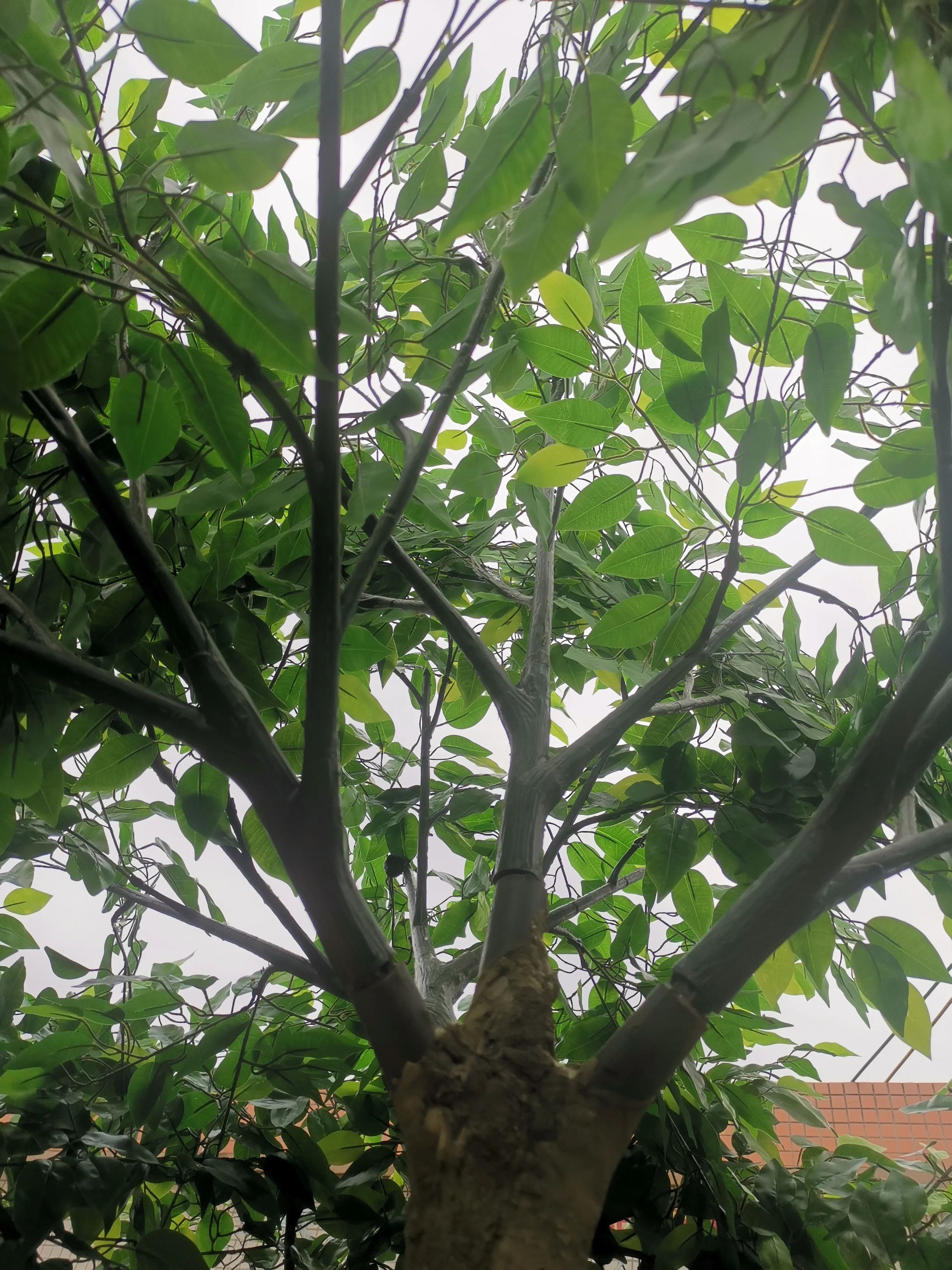 songtao Indoor Outdoor Big Simulation Evergreen Ficus Tree Faux Plant Tree Large Artificial Banyan Tree