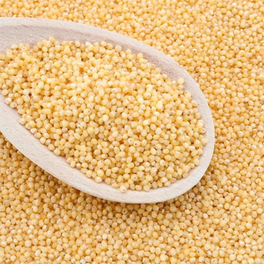 
Coarse Grain Millet organic foxtail millet pearl millet whole 