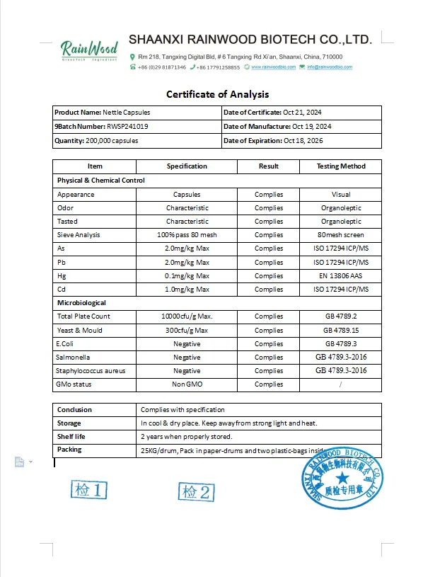 Stinging Nettle Root Extract Capsule 500mg Nettle Food Supplement Nettle Root Extract Powder