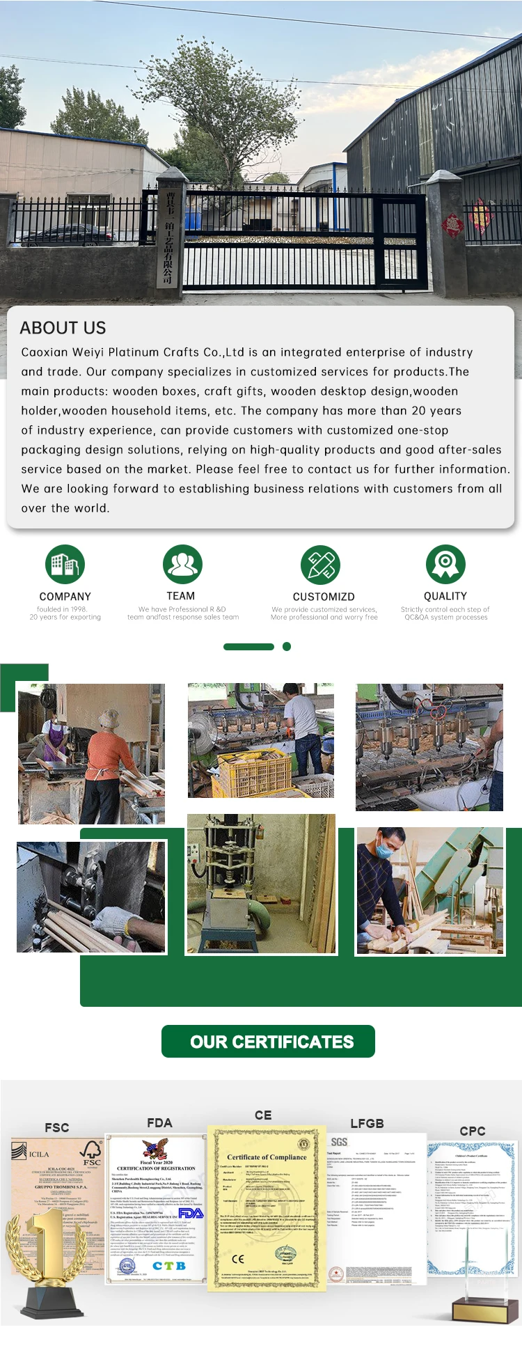 Company-profile
