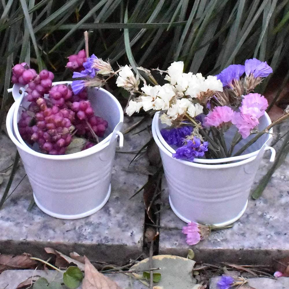 Set Of 3 Galvanized Metal Bucket Powder Coated Black Color Flower Planter Tray With Round Herb Pots