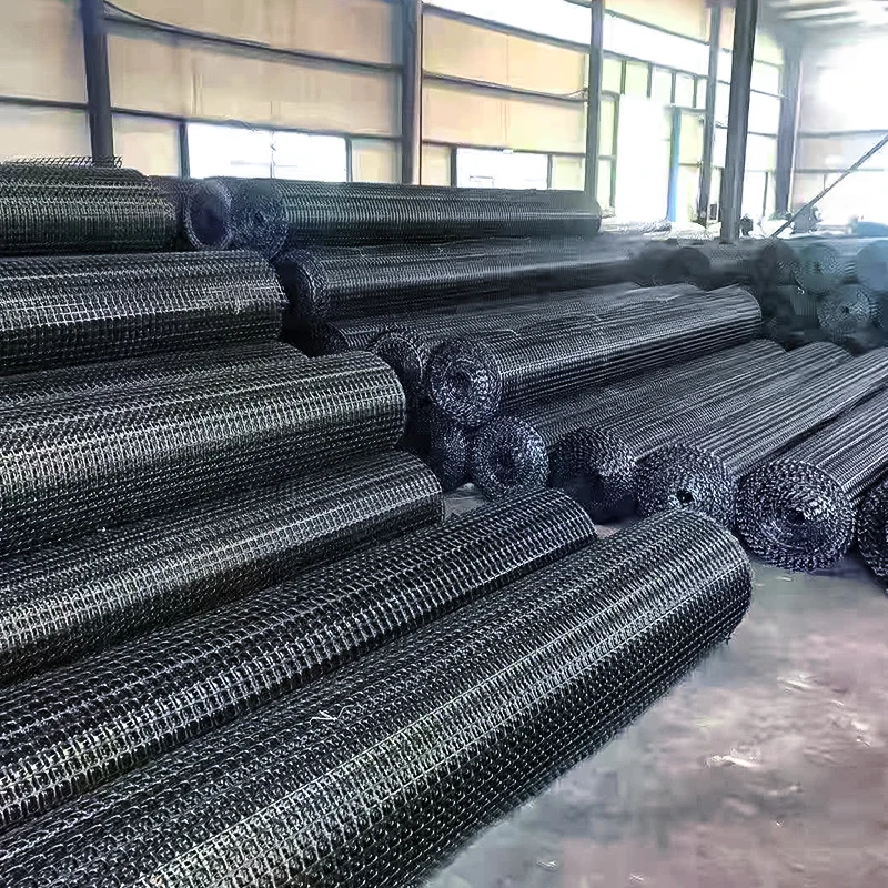 Newest design top quality welding steel plastic composite earthwork extruded geogrid