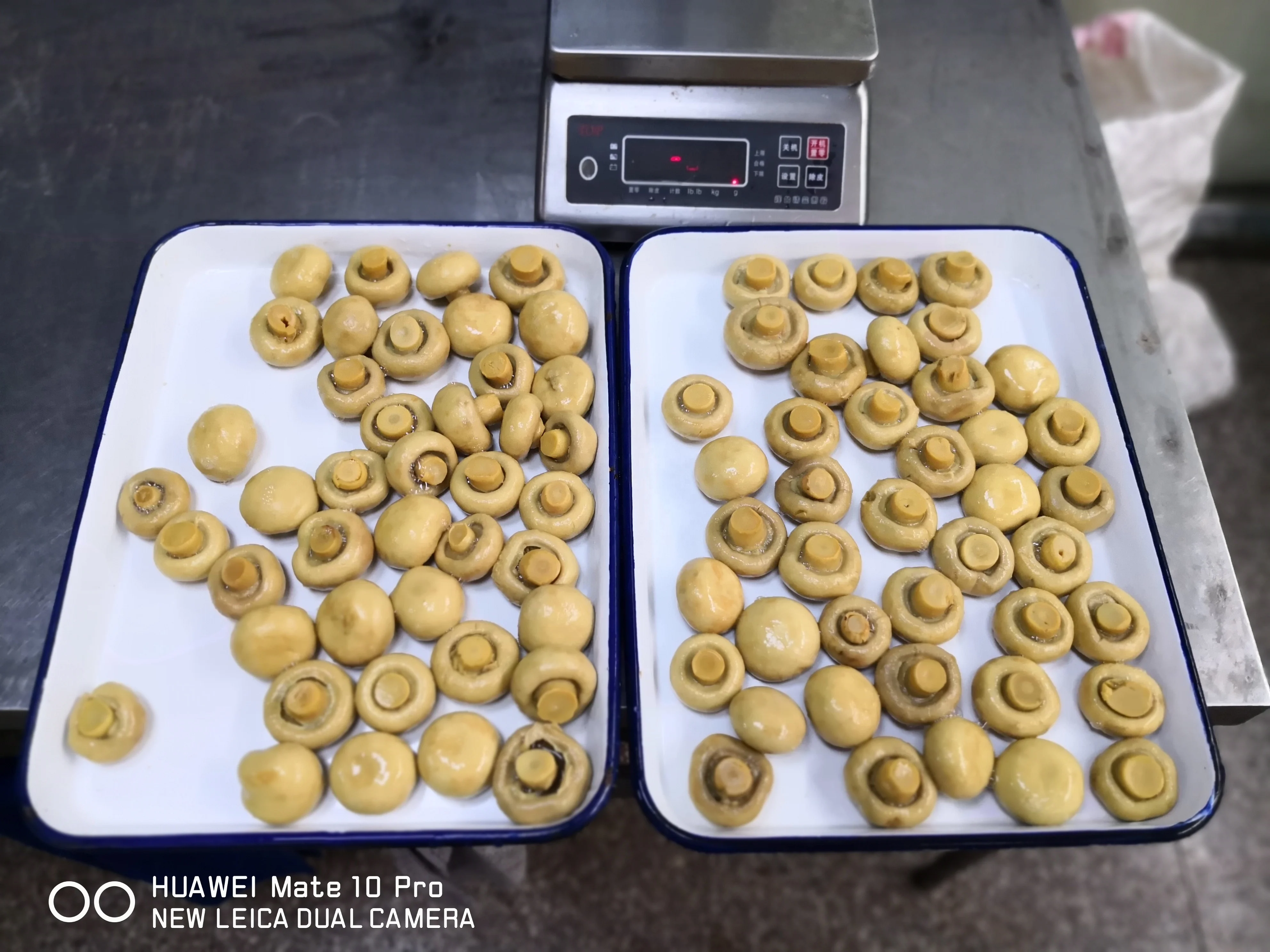 Canned Mushrooms whole
