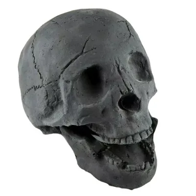 Wholesale Halloween Skulls Ceramic Skulls Human Skeleton for Halloween Bar Home Table Decoration