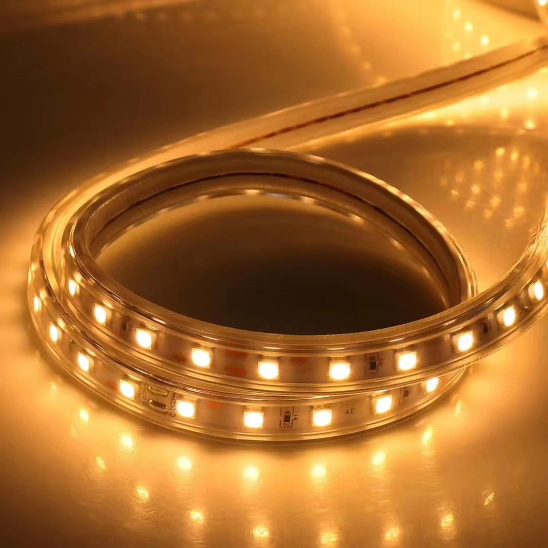 Super Brightness PVC Profile Fully Sealed Lamp Belt Outdoor Waterproof IP65 Transparent PVC Sealing Led Strip Light