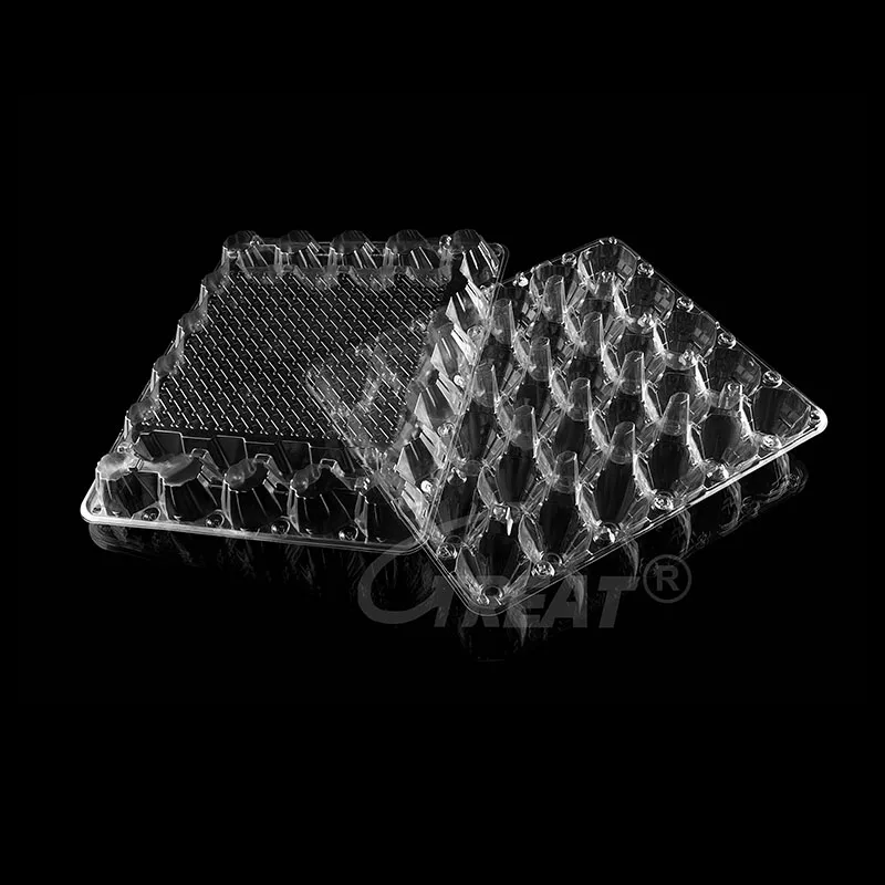 Factory Price 20 Cell Custom Clear Egg Tray Plastic Egg Cartons PET Quail Egg Tray