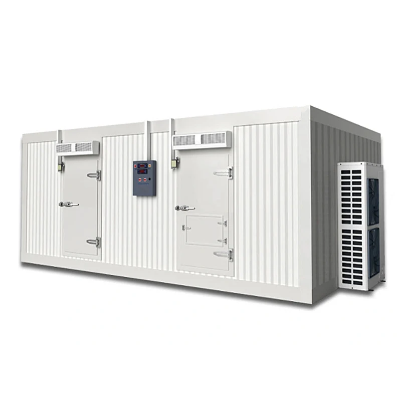 Dead body morgue freezer mortuary chamber corpse freezer corpse cold room