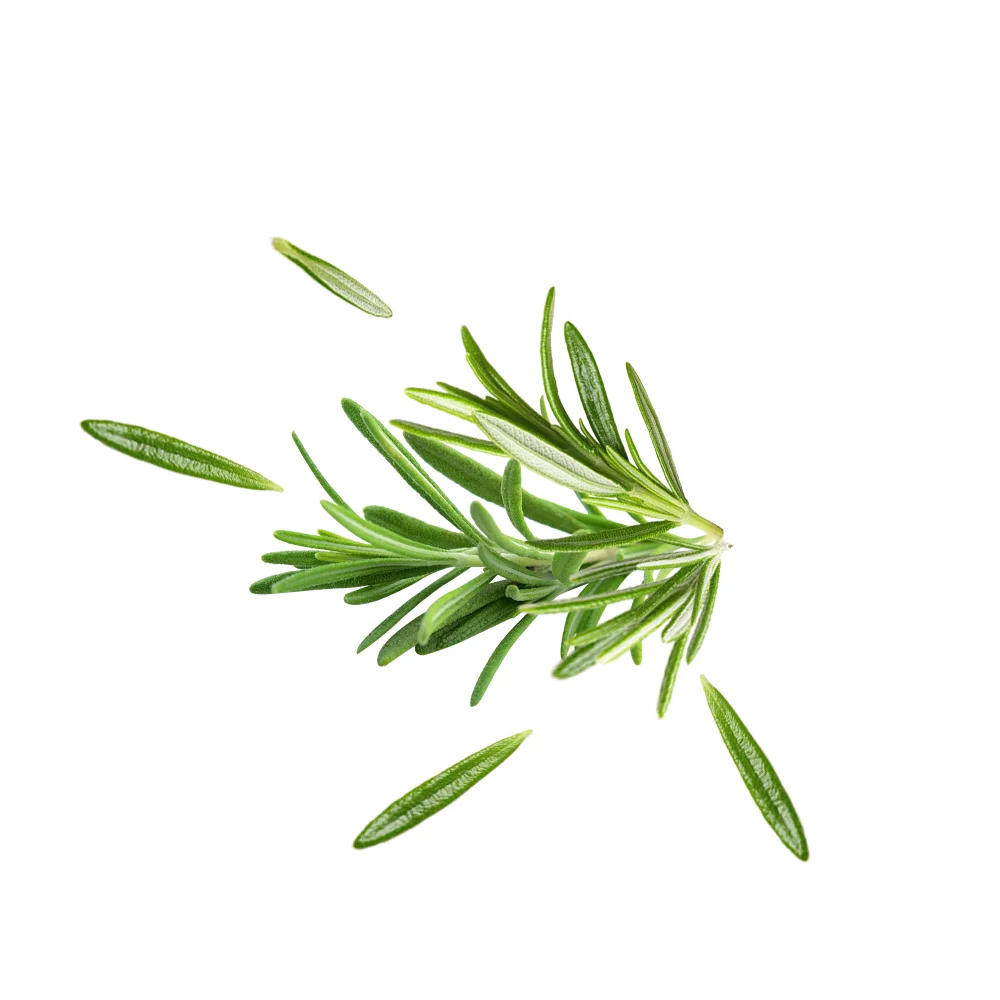 Vaping Muster Wholesale Custom Flavour Vanilla Concentrates Edible Flavours for tobacco cigarette food beverage