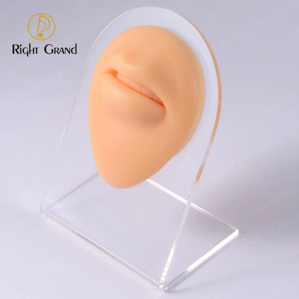 Right Grand Soft Silicone Model Body Part Displays for Acupuncture Human Model Simulation for Jewelry Display Teaching Tool