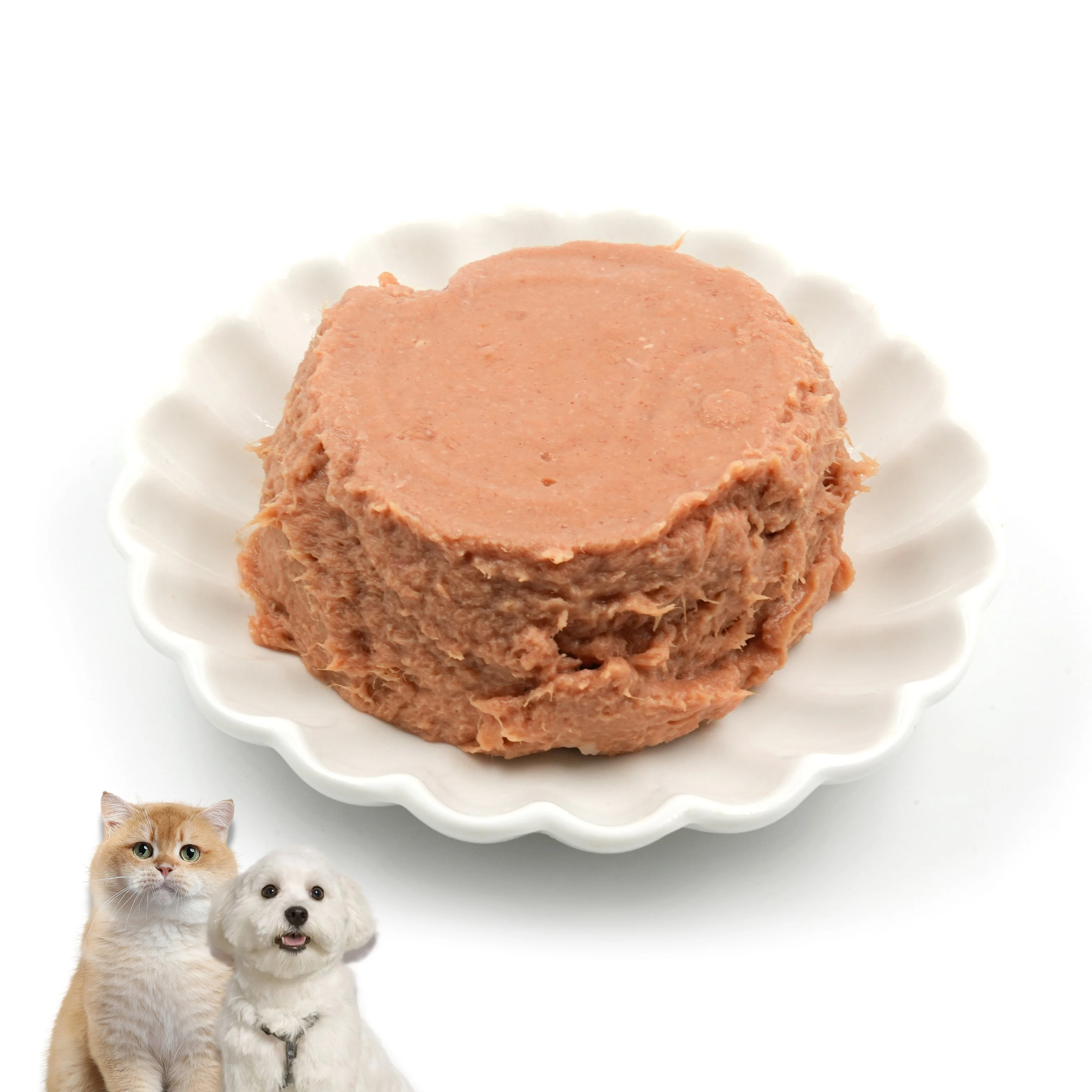 Заводская поставка высококачественный вкусный влажный корм для кошек желе домашних животных говядина консервированный собак