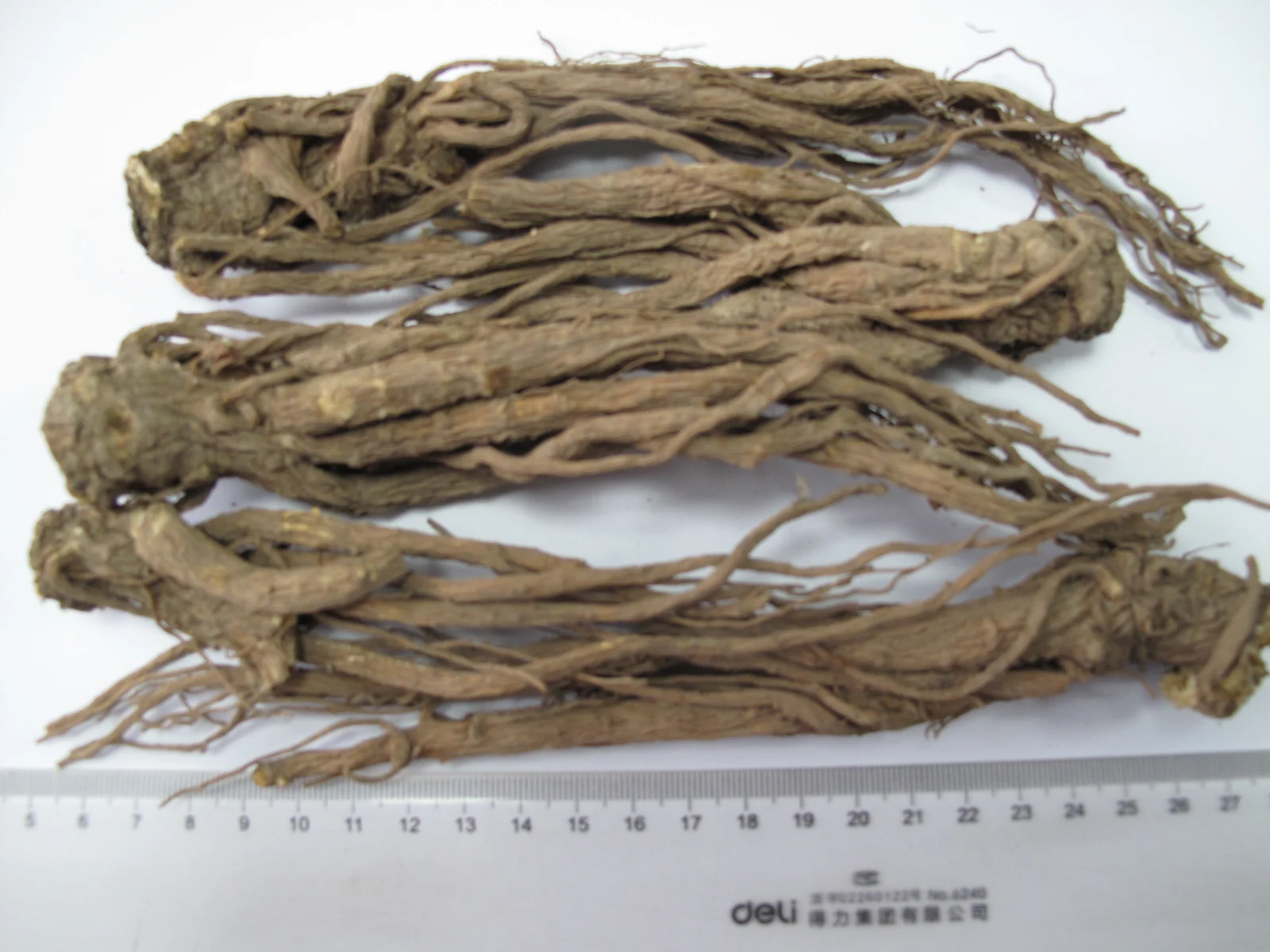 Sun Dried Chinese Angelica Sinensis Radix Angelicae Sinensis