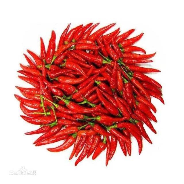 
2020 new crop fresh red chilli pepper 