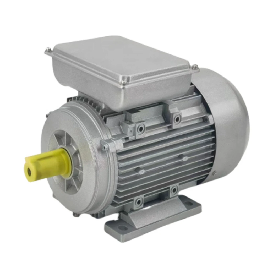 YL Series Single-phase Capacitor Start and Run dual-capacitor Copper Iron Shell Wire asynchronous induction Motor