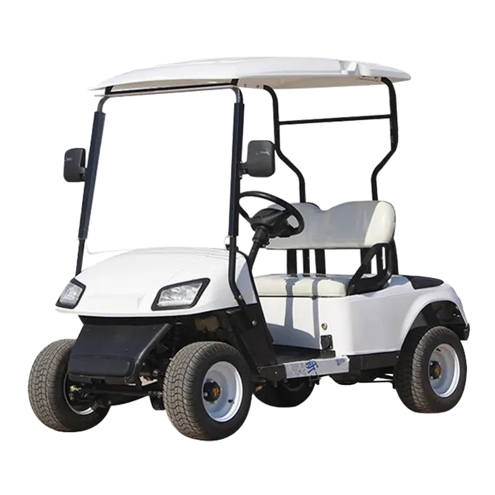 Hot Selling Quality Assurance Golf Cart 2 Seat Golf Buggy Electric Golf Cart Custom