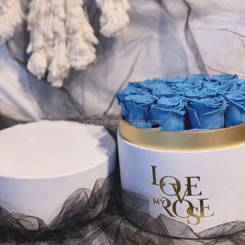 China Factory Manufacturer Price Preserved Rose Flower A Grade Wholesale Preserved Roses Long Life Roses in Cylinder Gift Box