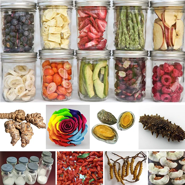 8KG/24h Vegetable Freeze Dryer for Food Factory