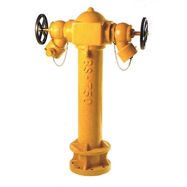 BS750 DN100 inlet ground 65mm two way fire hydrant with NH coupling