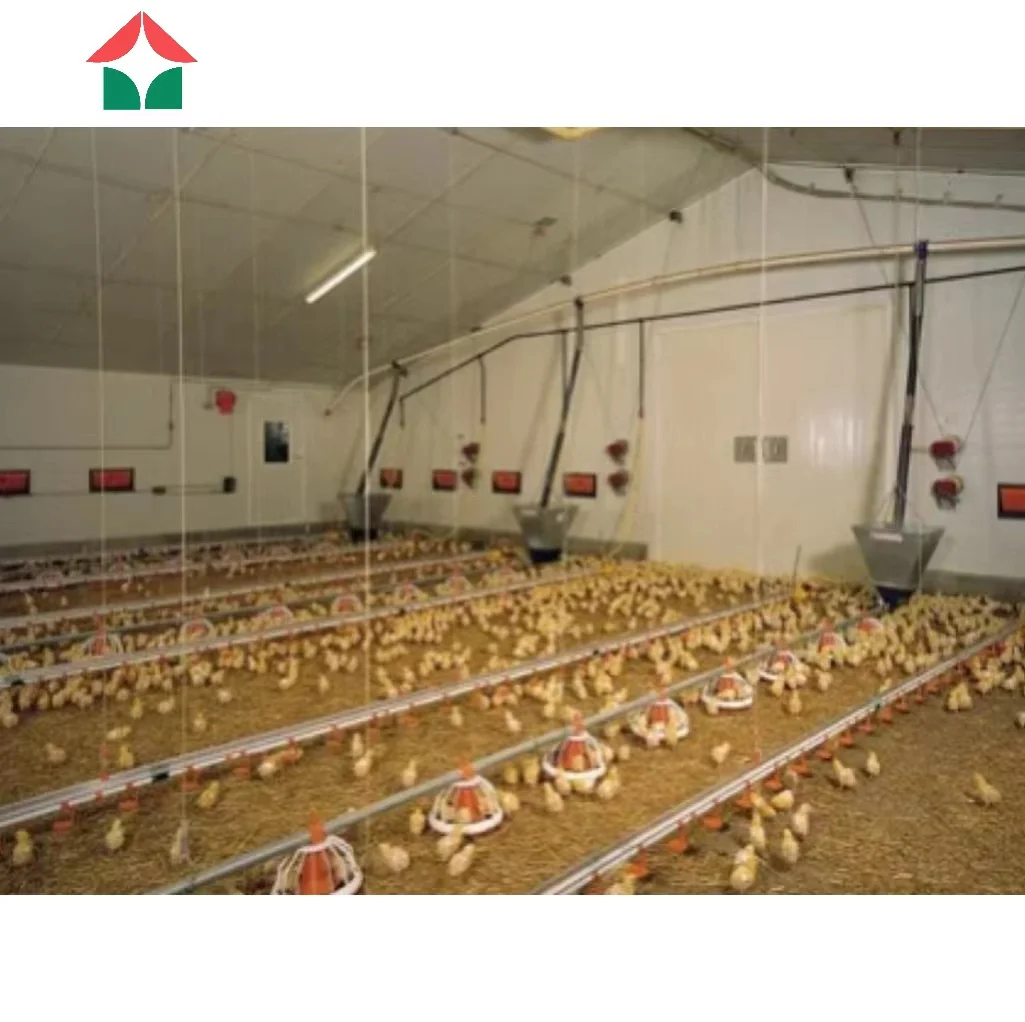 Инкубатор для домашней птицы сельскохозяйственное