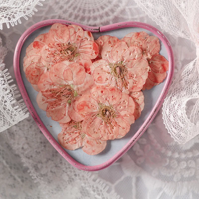 12pcs/bag Plum Blossom Card Making Supplies Resin Jewelry Natural Plant Eco-friendly Real Pressed Flower