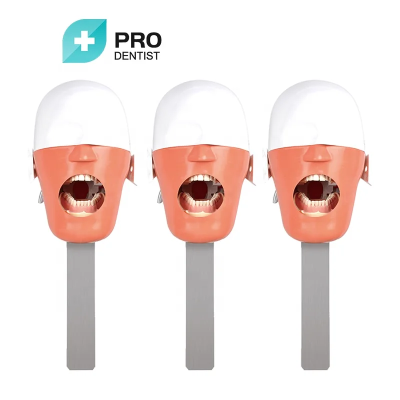 manikin phantom head for training practice for school oral dental phantom head dental simulator