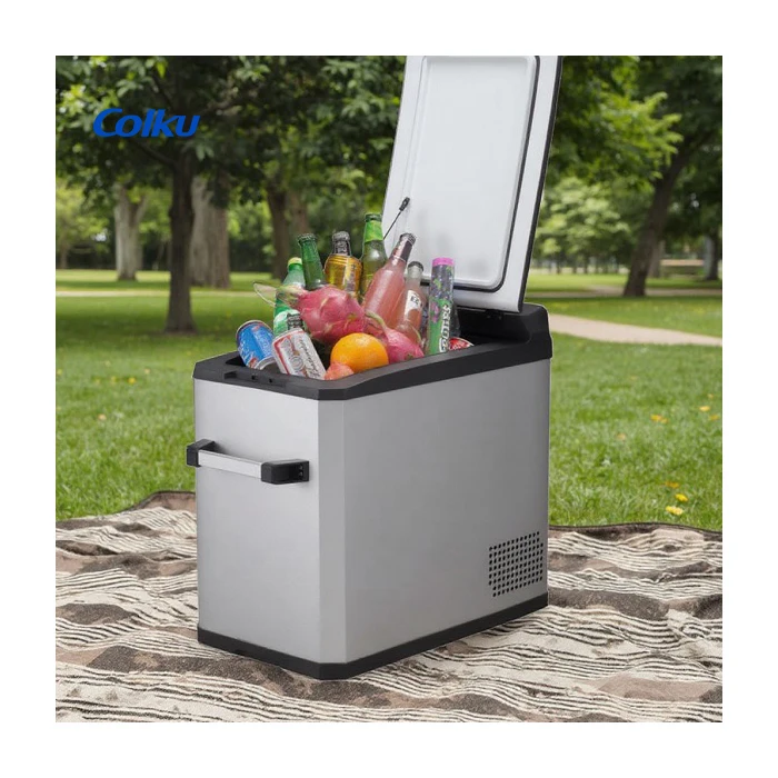 Factory Supply Camping 12V Refrigerator Boxes 42L Boat Fridge Outdoor Portable Freezer for Van Truck