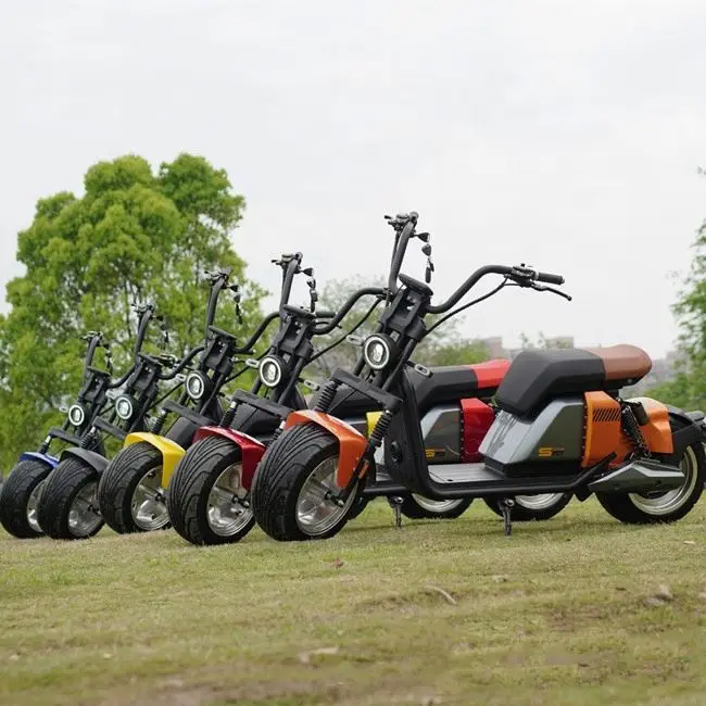 2000 w 2400 w 3000 w High Speed Fast Big Wheel Electric Scooter For Adults