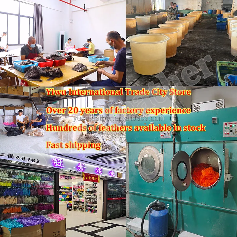 Feather Wholesale 30-35CM Natural Plumas Patterned Turkey Wing Feathers for crafts Arrows decorations