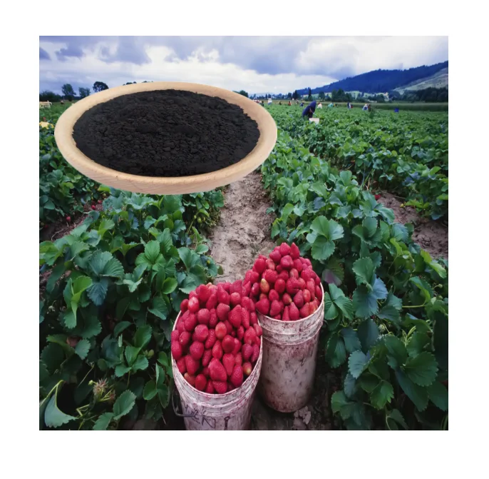 Ацид humico fertilizante органический ацид humico