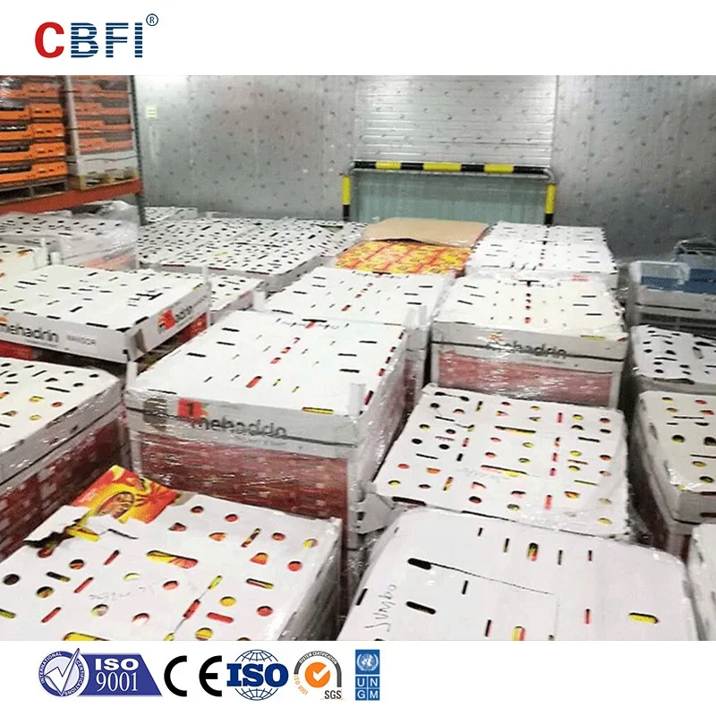 Condensing Unit For Cold Room Storage