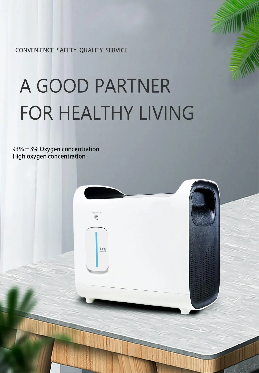 Exclusive Home Health Care Oxygen Inhaler Portable 2L Oxygen Concentrator for Pregnant Women and Infants