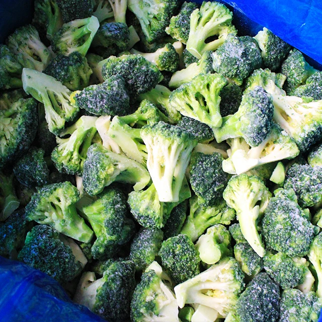 Winter new Crop  IQFfroen vegetables Frozen broccoli
