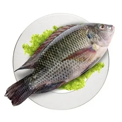 golden pomfret wr