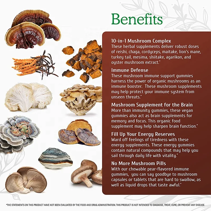 OEM/ODM Super Nootropic Brain Booster Supplement Vegan Nootropic Gummies Improve intelligence