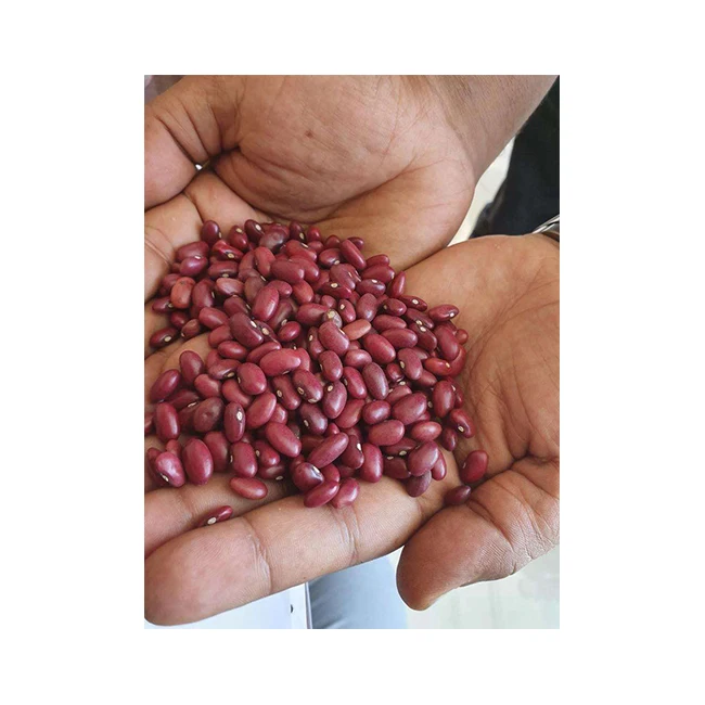 Natural Delicious Healthy Good Premium Quality And Hot Seller Red Kidney Beans(Gojam) For Wholesale