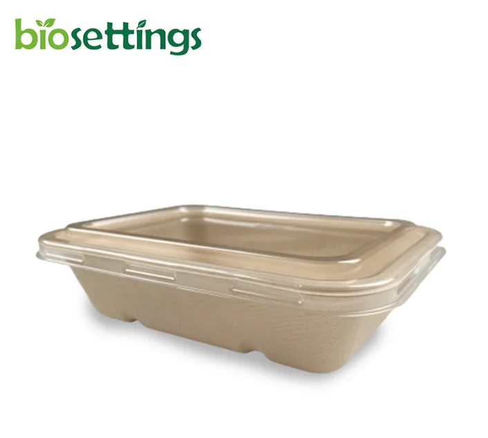 Eco- friendly Sugarcane Lunch Box Biodegradable Bagasse Take Away Box Paper Pulp To Go Food Container With PET Lid