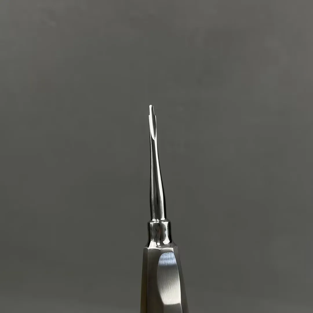 Root Elevator Str Steel Dentist Surgical Instrument Tool Dental Lift Root Elevator Dentistry Tools