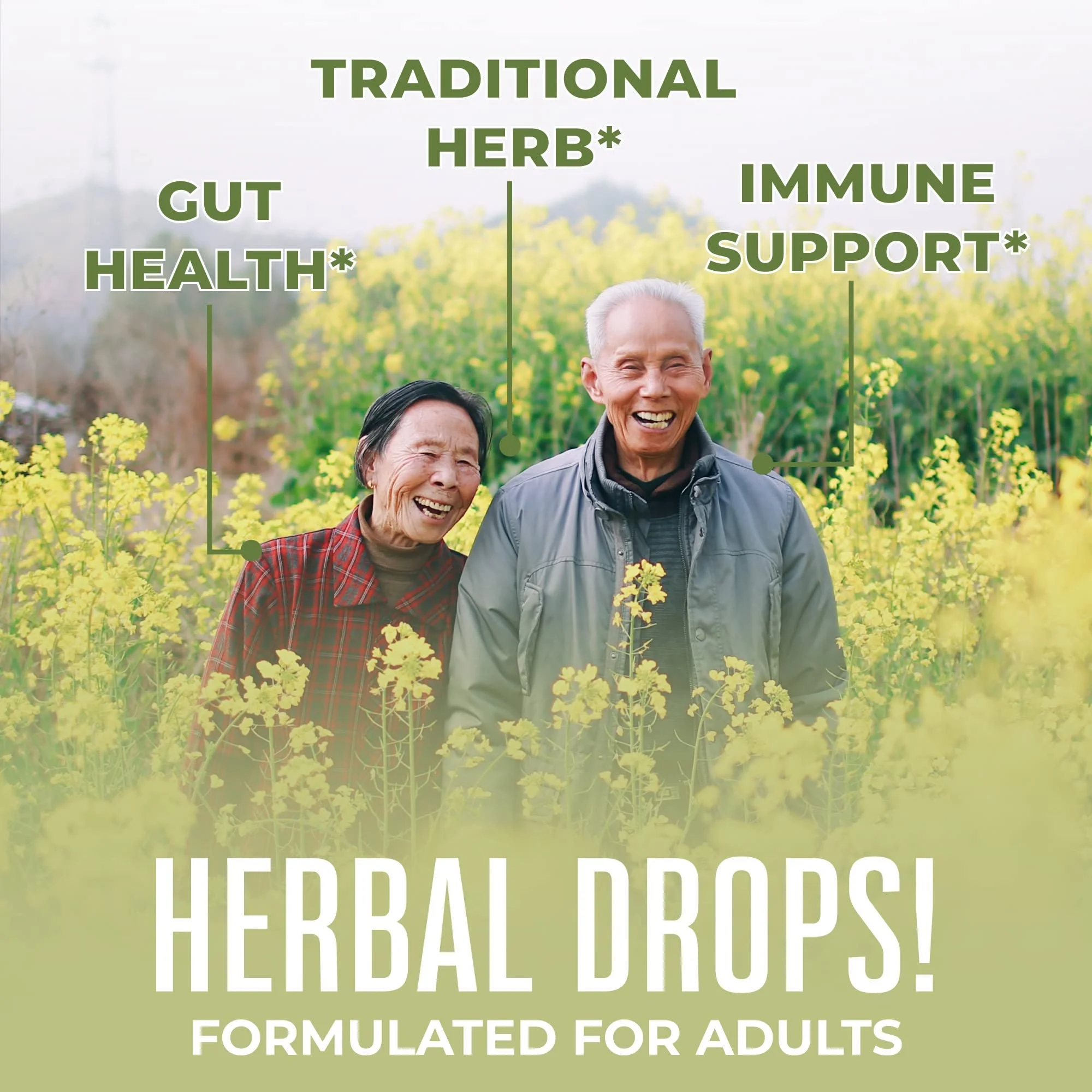 USDA Organic Oregano Oil Drops OEM ODM Herbal Liquid Blend Vitamin Supplement for Adult Immune Support