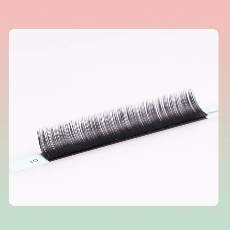 Wispy Super Strong Professional Accent Clean Look Eye Make-up 24 hour Lashbox Paired with Volumized Eyelashes Extension