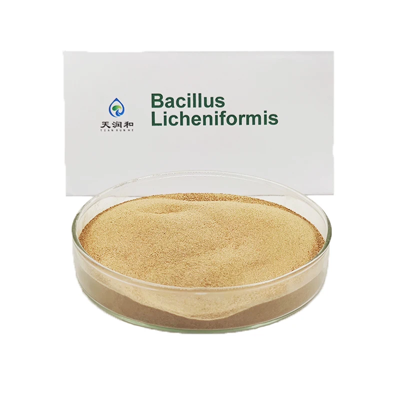 Личенформис пробиотический оптом и тонкий на продажу